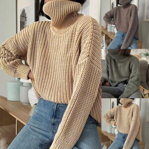 Women's Jacket New Fashion High Neck Pullover Sweater Women